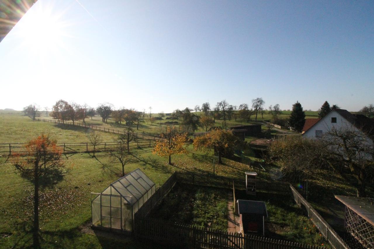 Gasthaus Und Ferienwohnungen Zum Engel Waldbrunn  Kamer foto