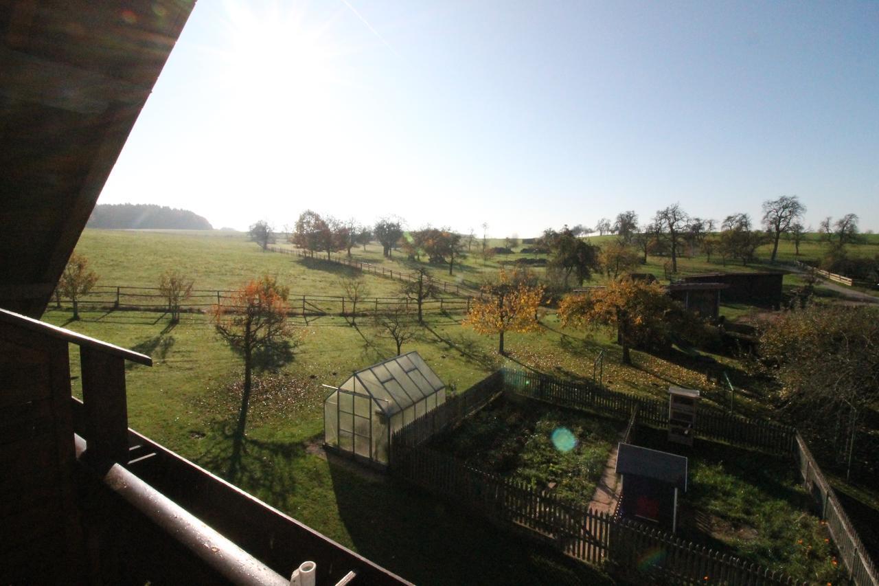 Gasthaus Und Ferienwohnungen Zum Engel Waldbrunn  Buitenkant foto
